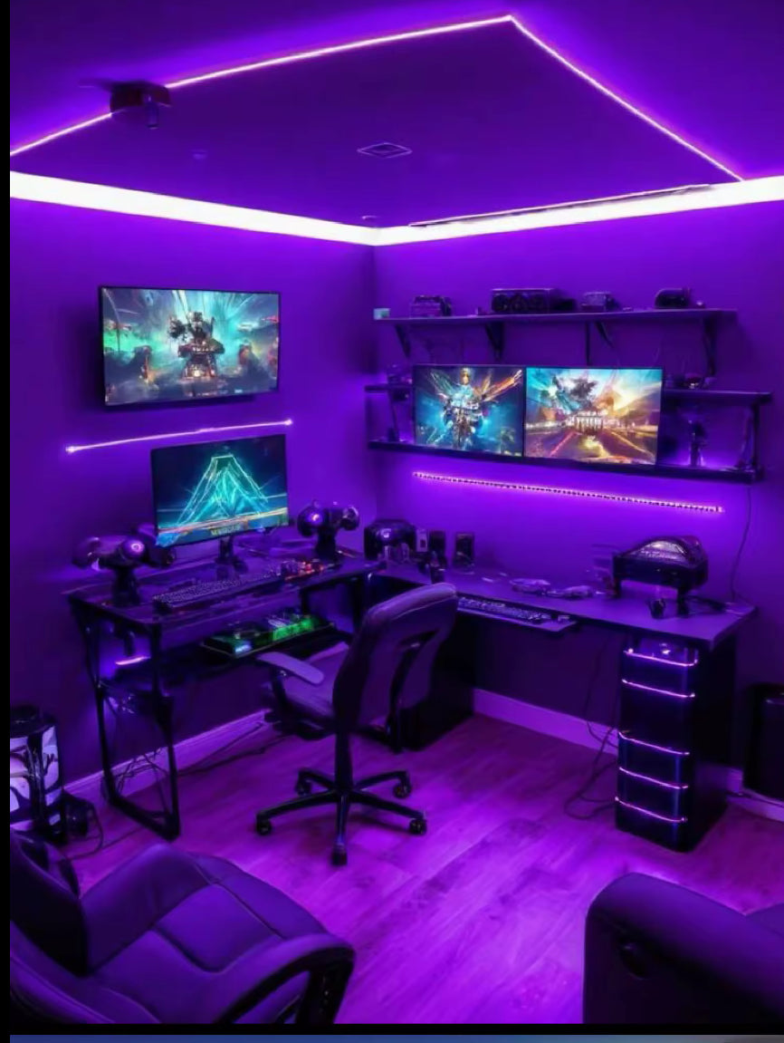 Lumières LED Néon Connectées