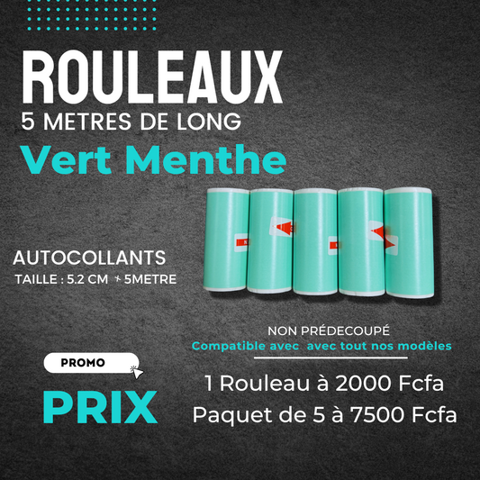 ROULEAUX VERT MENTHE